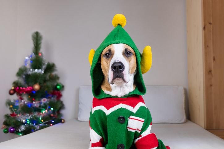 Best Amazon ugly holiday sweaters