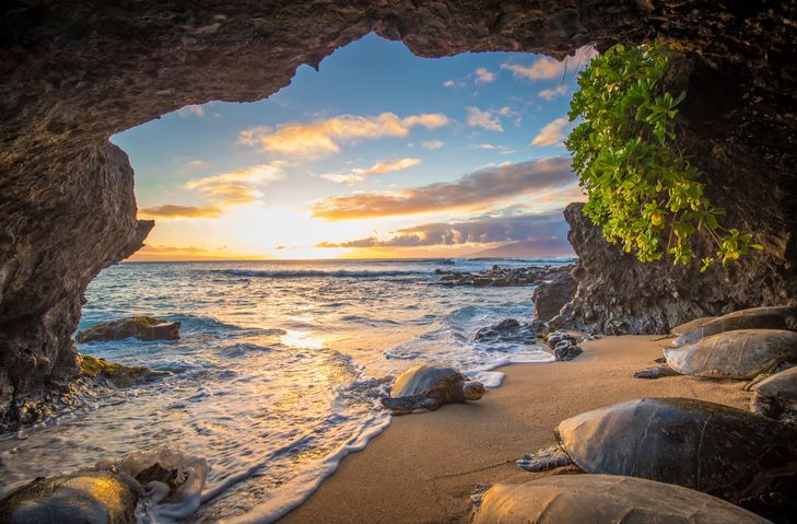 Photo of Maui, a popular and expensive U.S. vacation spot