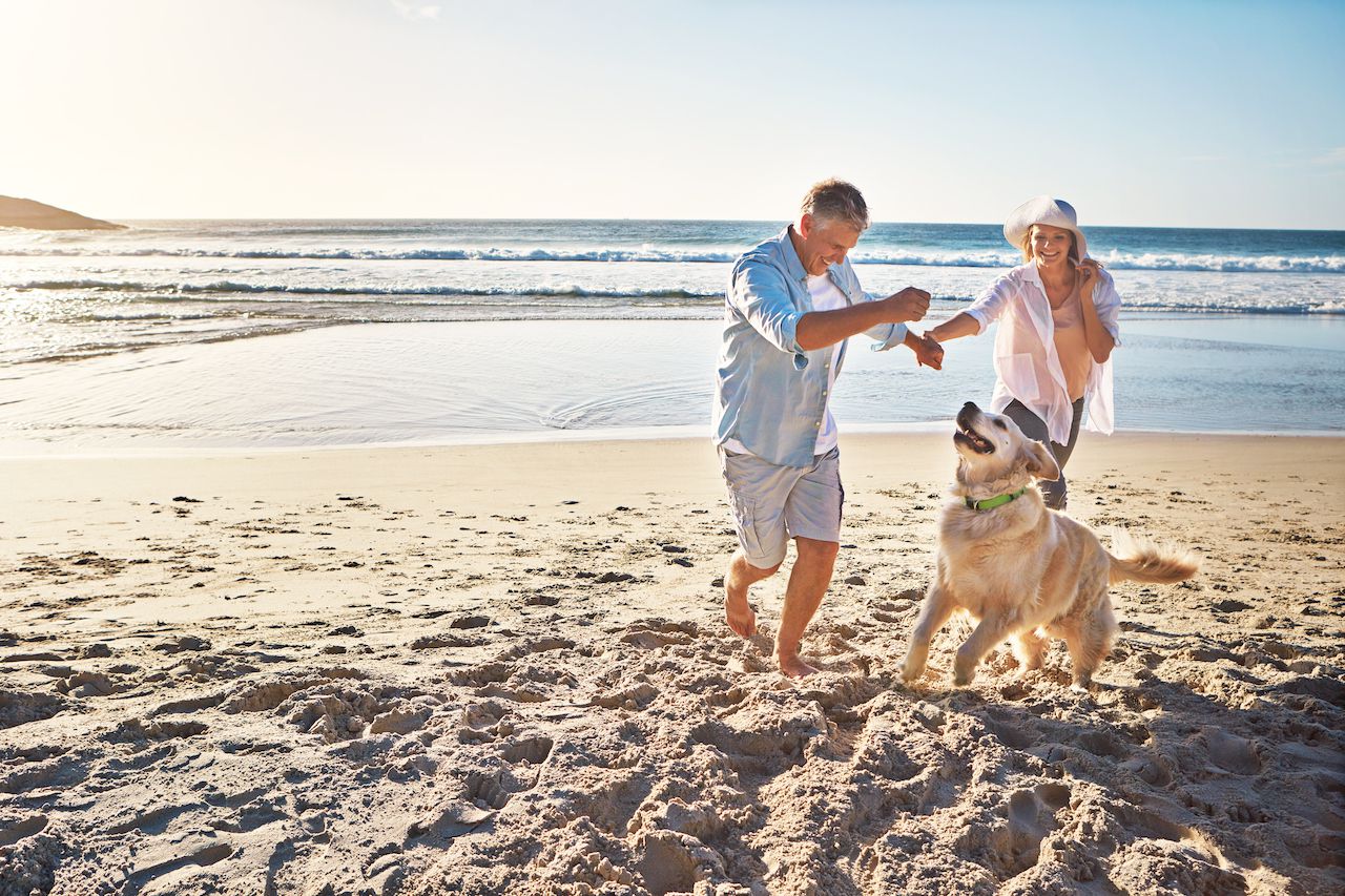 Retired couple on the beach with dog.