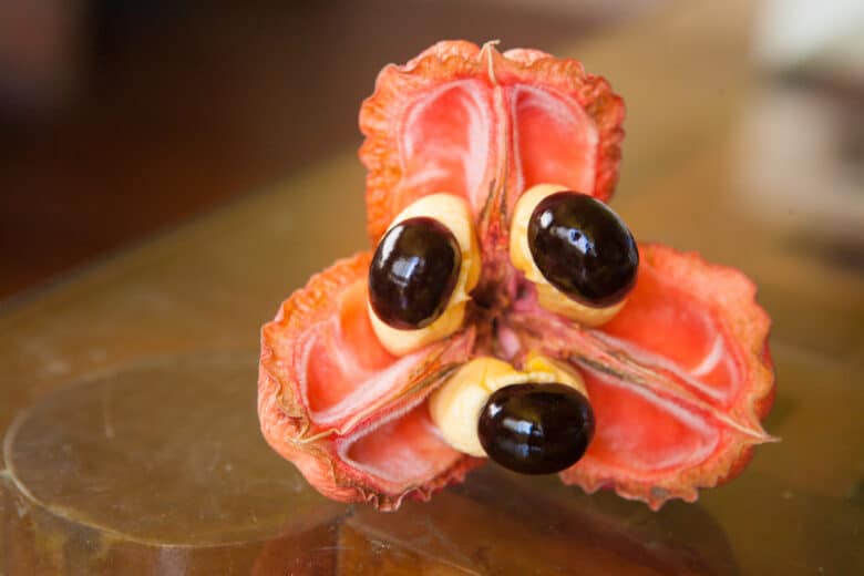 Ackee Fruit Photo Credit: DepositPhotos