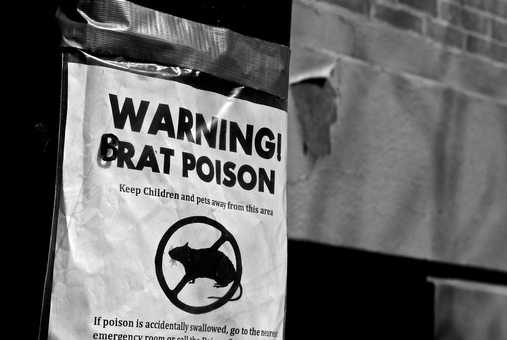 (B)Rat Poison @ East Village