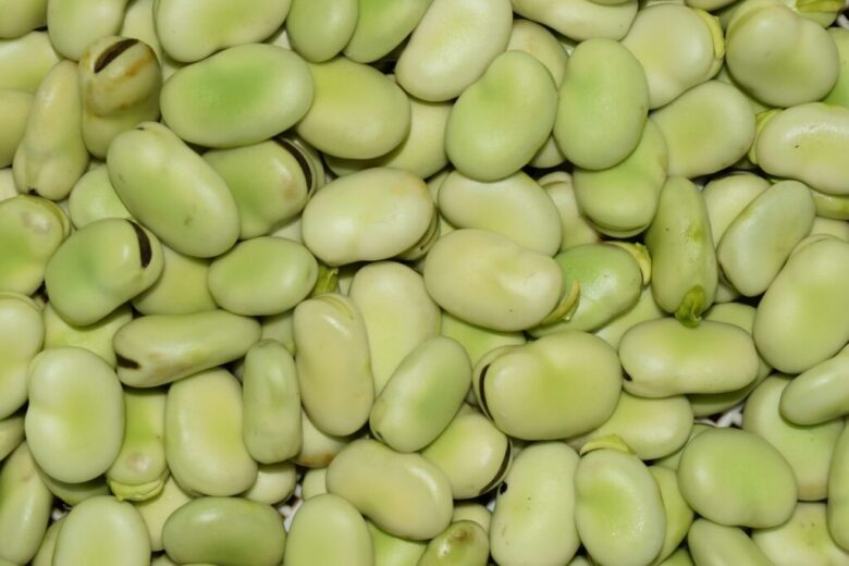 lima beans