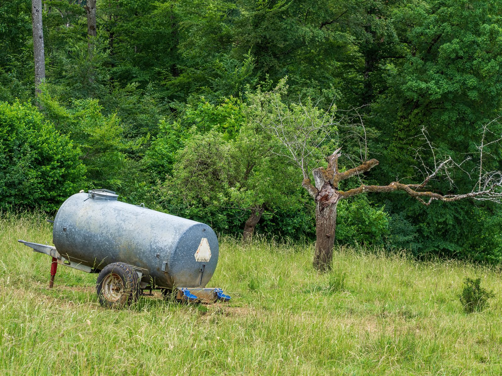 An old water tank sits in a lush meadow surrounded by dense green foliage and trees.