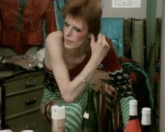 The Rise and Fall of Ziggy Stardust