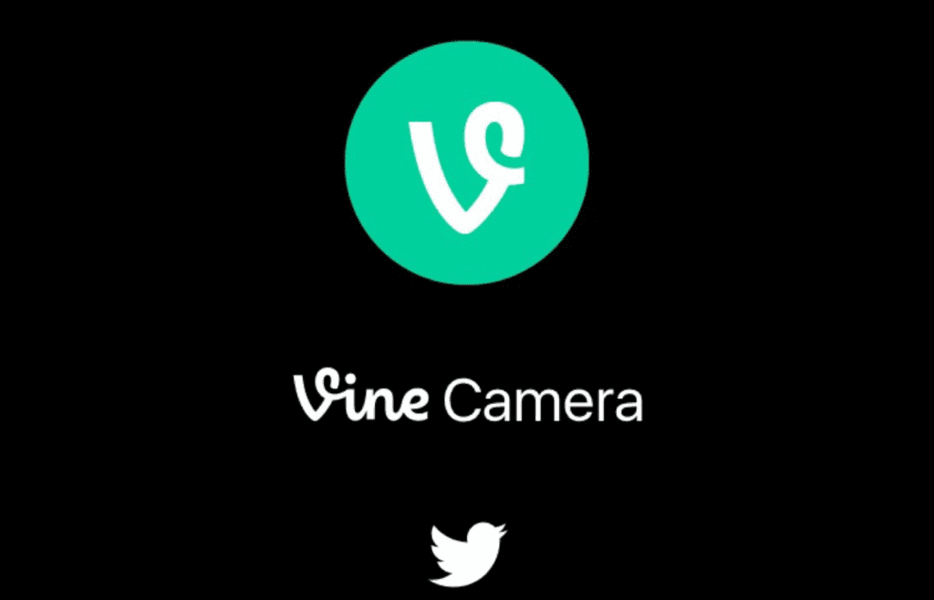 Vine