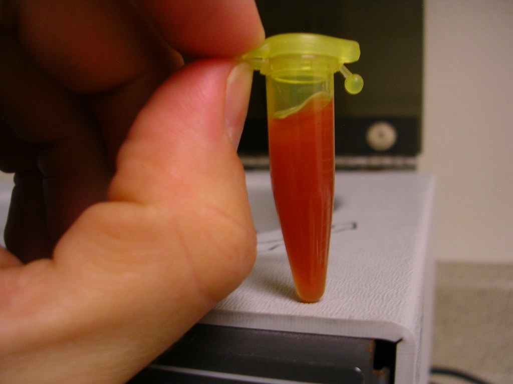 ketchup medicine