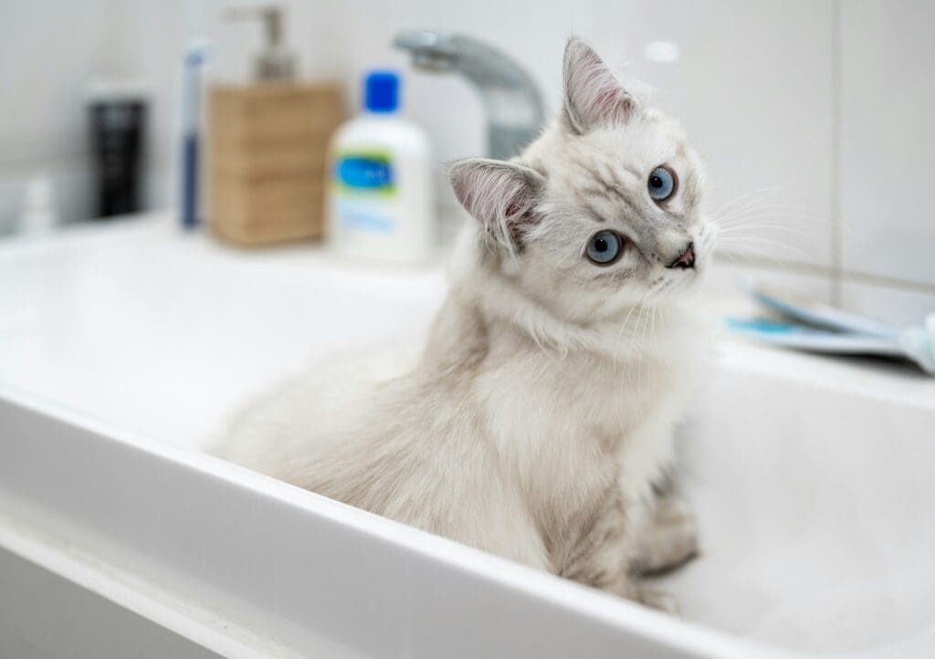 use warm water