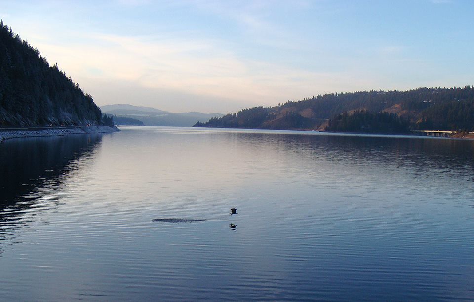 Lake Coeur d’Alene, Idaho, for the Annual Eagle Count