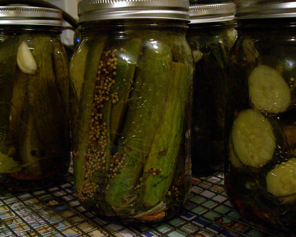 Cucumber and Dill Pickles in Glass Jars