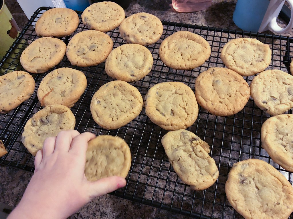 Freshly baked homemade chocolate chip cookies