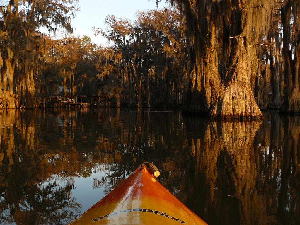 Kayaking Around Caddo Lake Docks, Texas