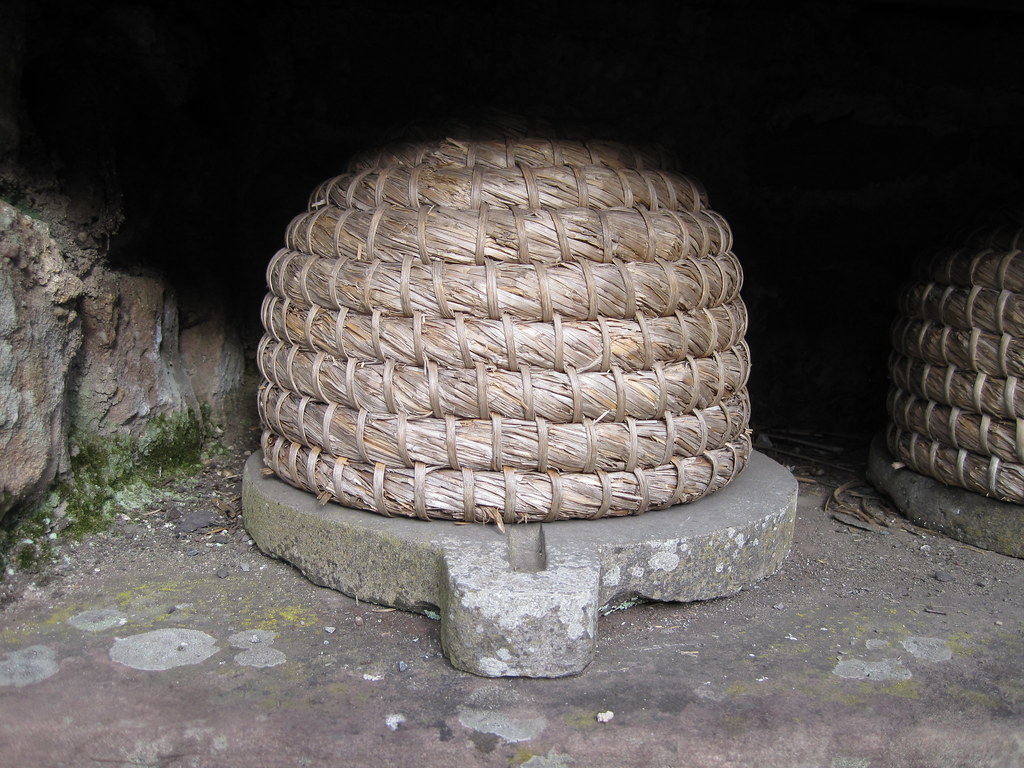 A bee skep in a bole
