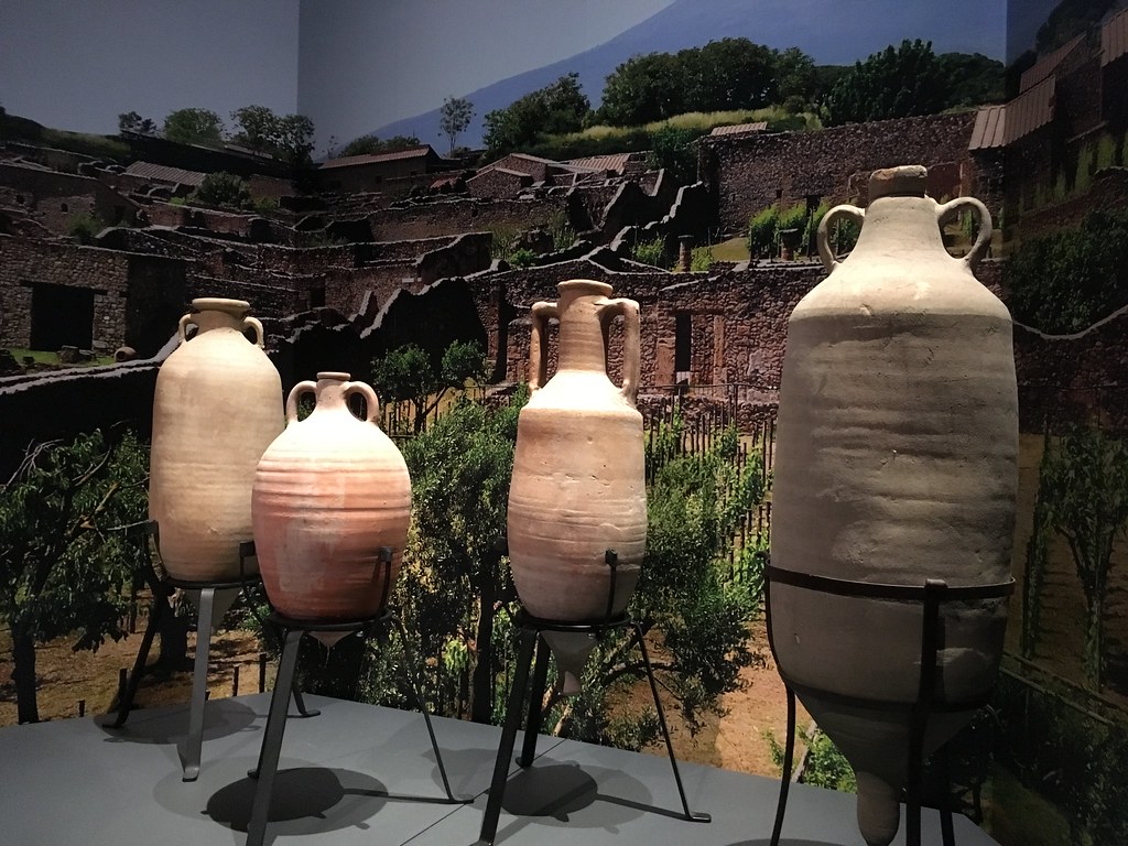 Escape from Pompeii Exhibit: Ancient Amphora